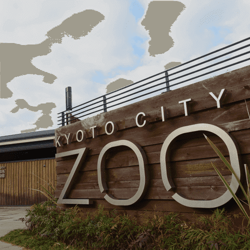 京都市動物園