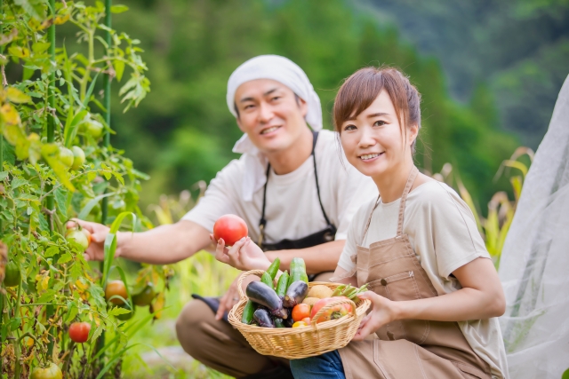 田舎暮らし　現実