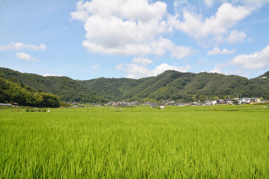 田舎暮らし　解説