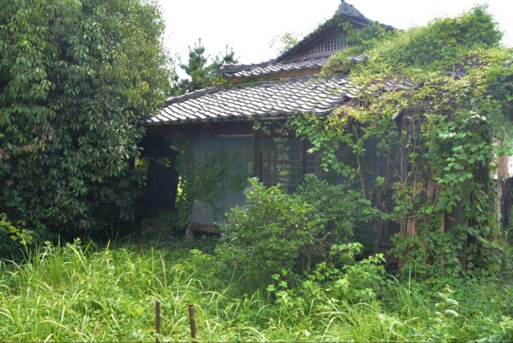 自然の生い茂る空き家