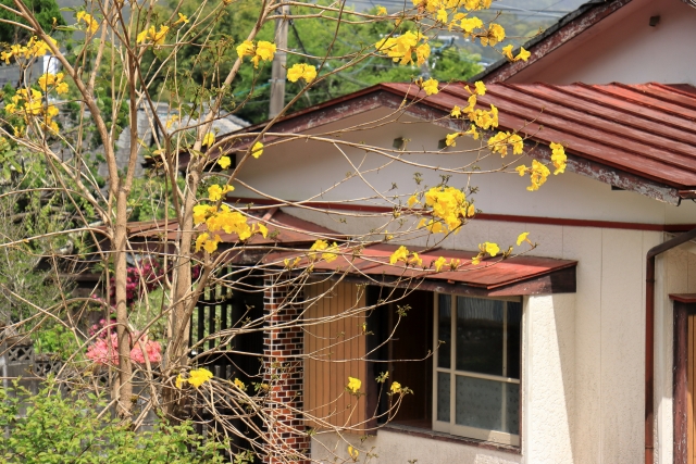 黄色の花手前、空き家外観