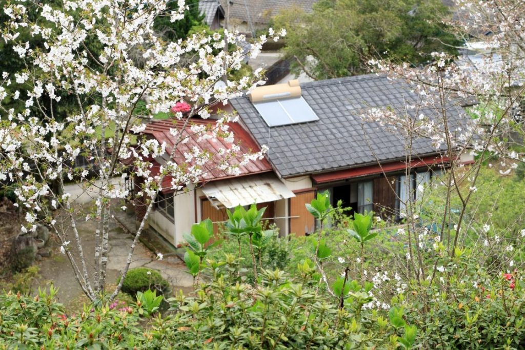 花と木の間から空き家を見下ろす