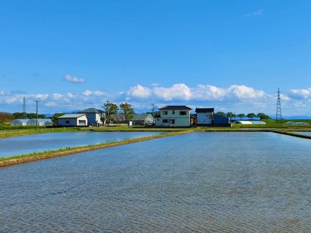 田園風景と住宅