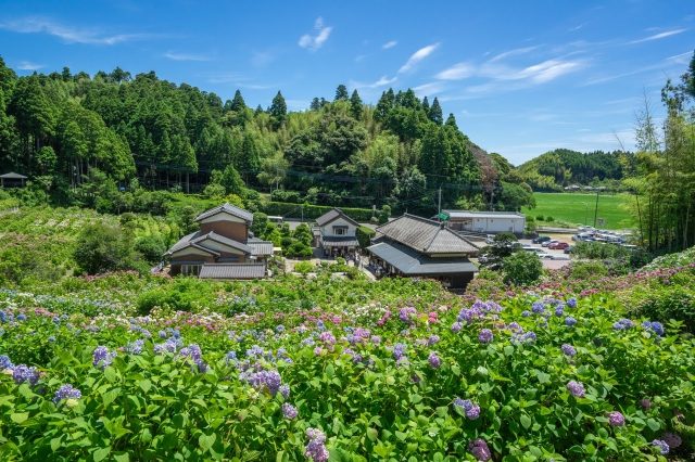 自然に囲まれた一軒家