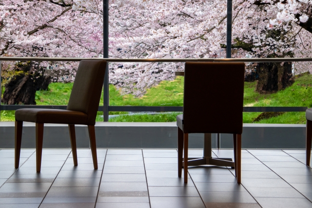 外に桜の見えるカフェ