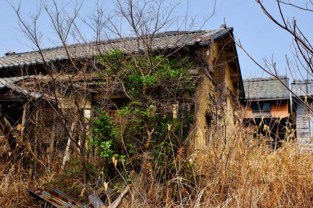 草木の生い茂る空き家外観