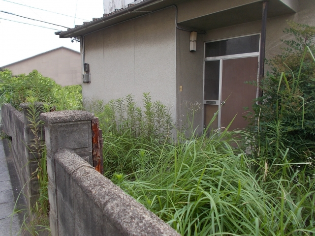 雑草の生い茂る一軒家
