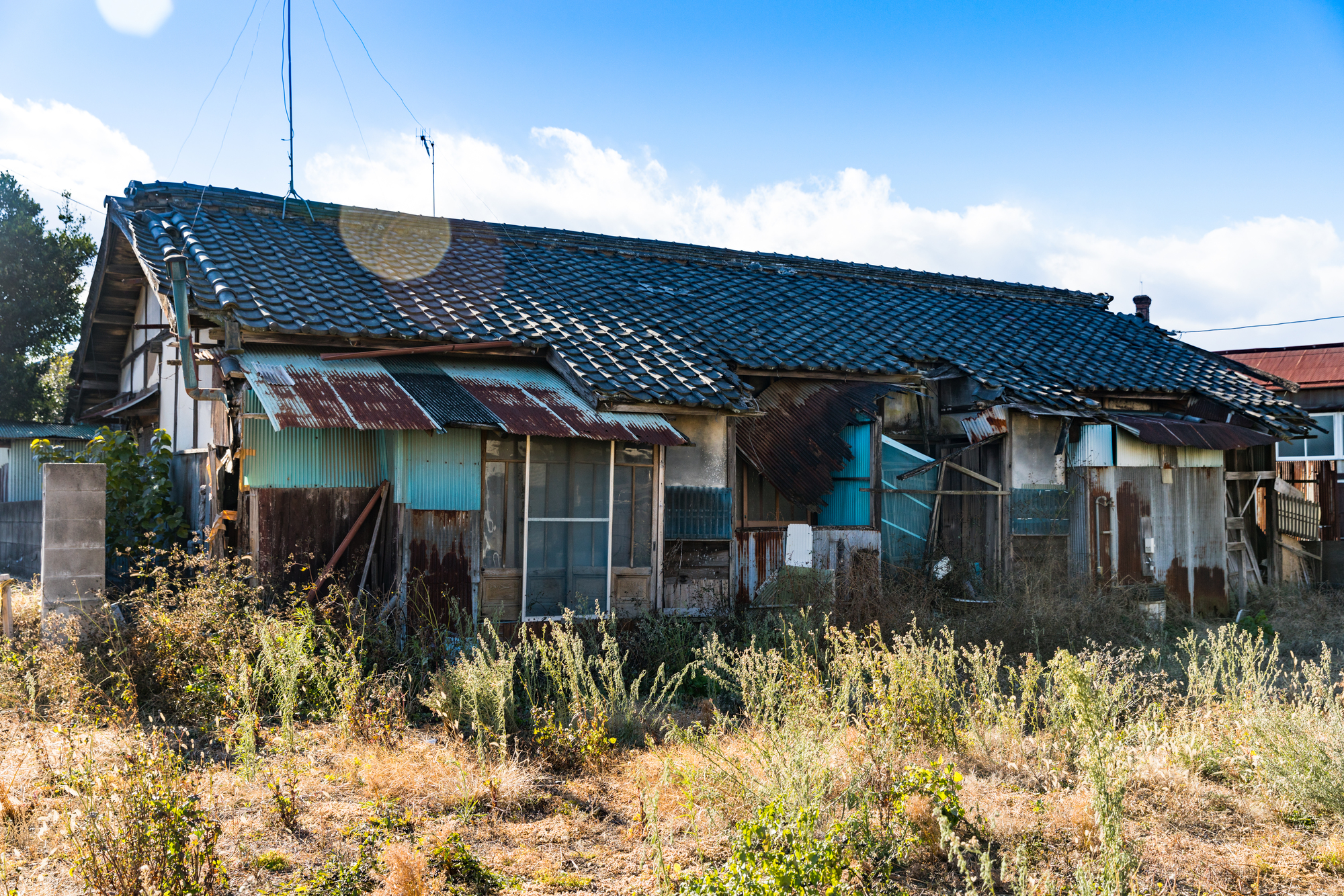 草が伸びた敷地に建つ、外壁やひさしが傷んだ平屋