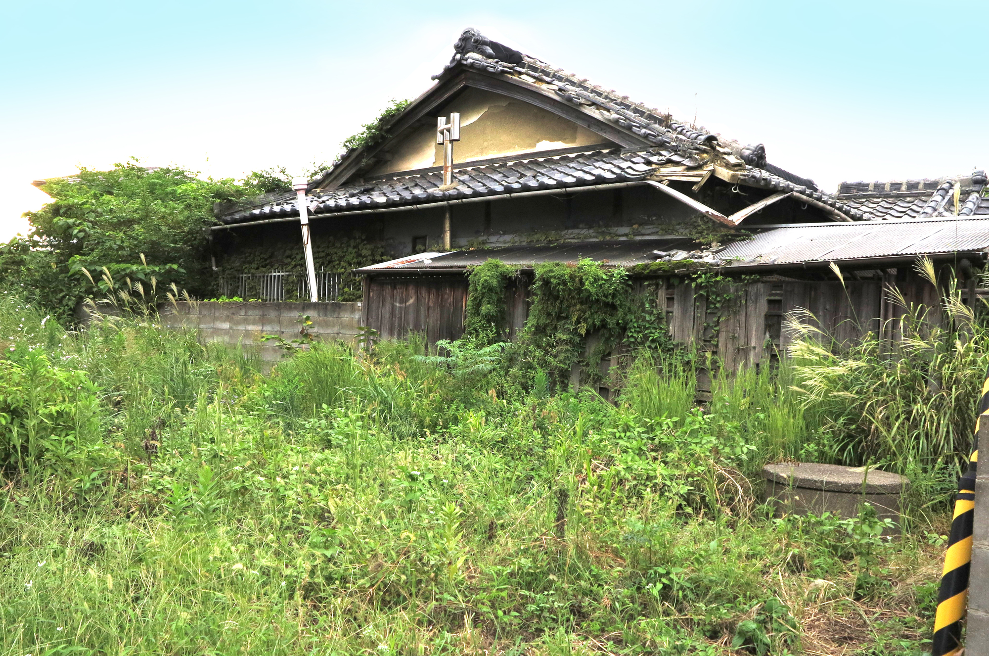敷地に草が生い茂り、屋根の一部が崩れた木造住宅