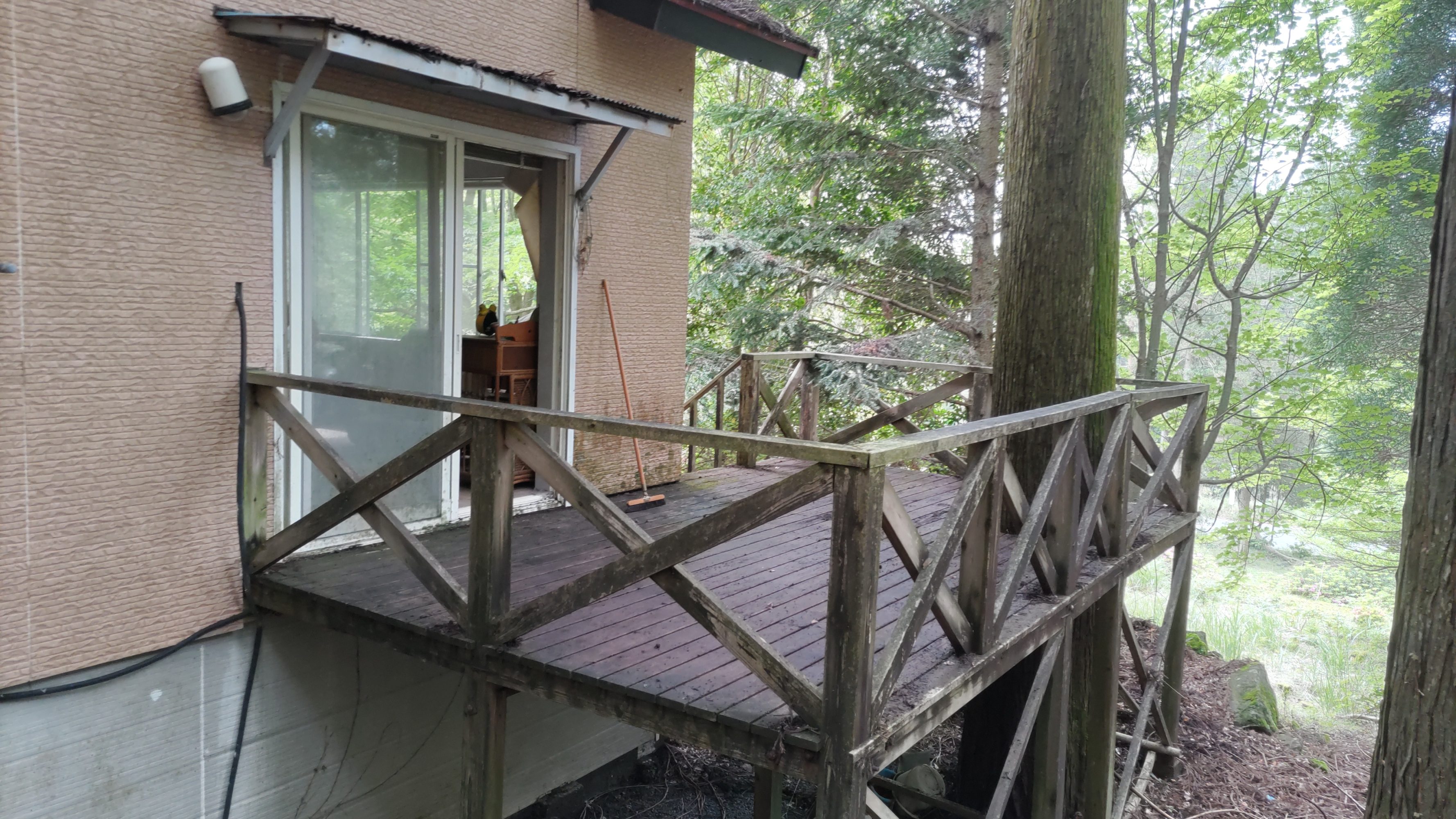 detached 霧島田口