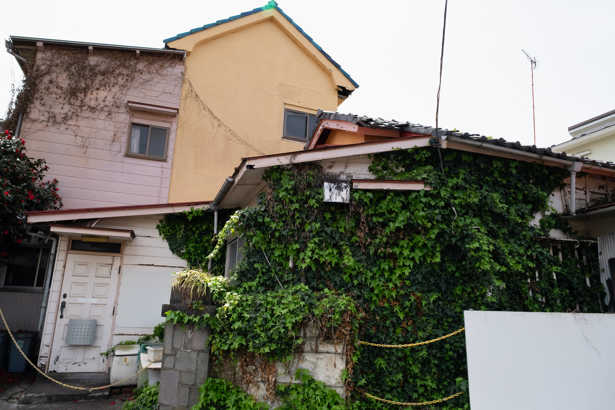 雑草で覆いつくされた空き家。立ち入り禁止のチェーンがかけられている