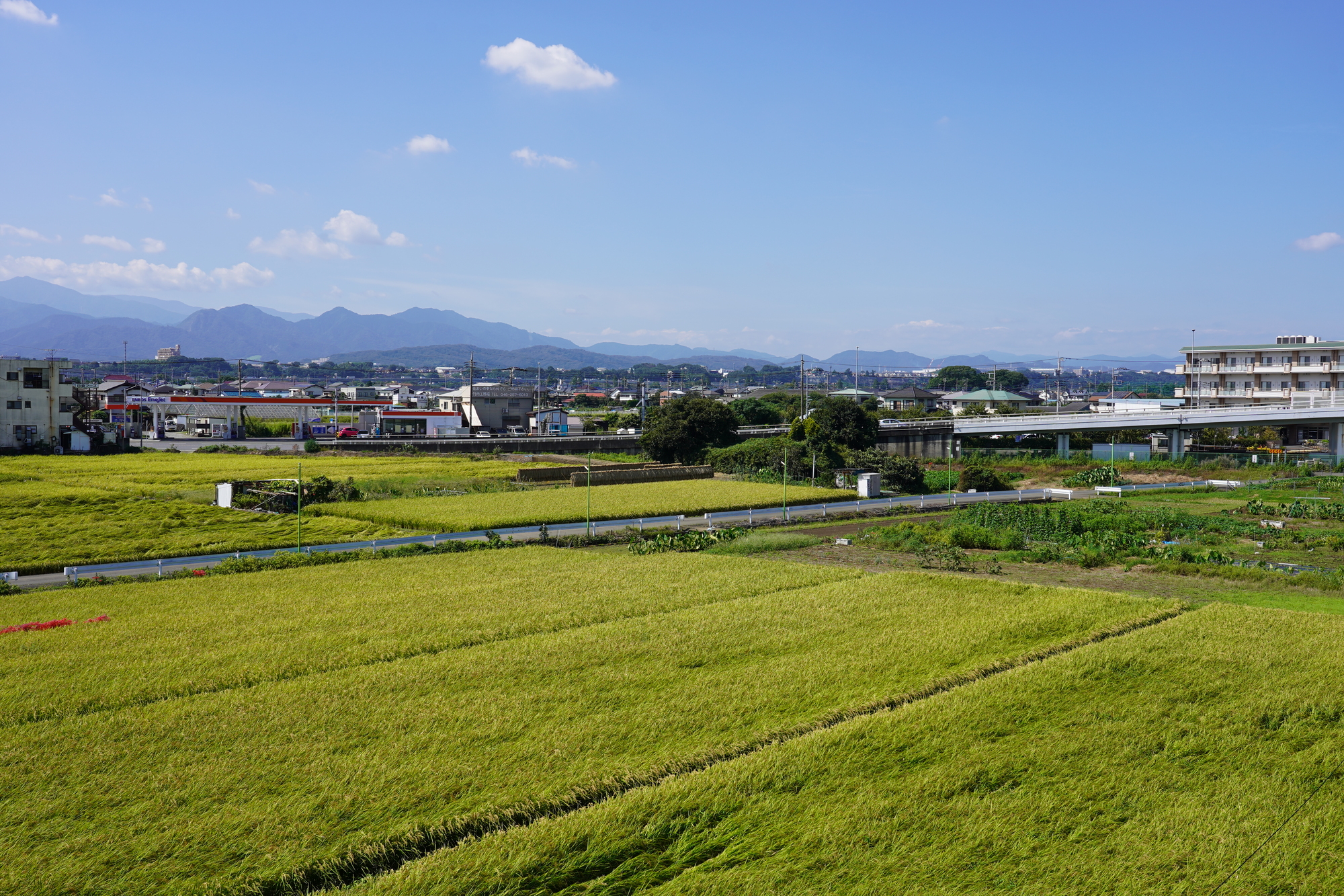 市街化調整区域とは？定義・特徴・開発制限をわかりやすく解説