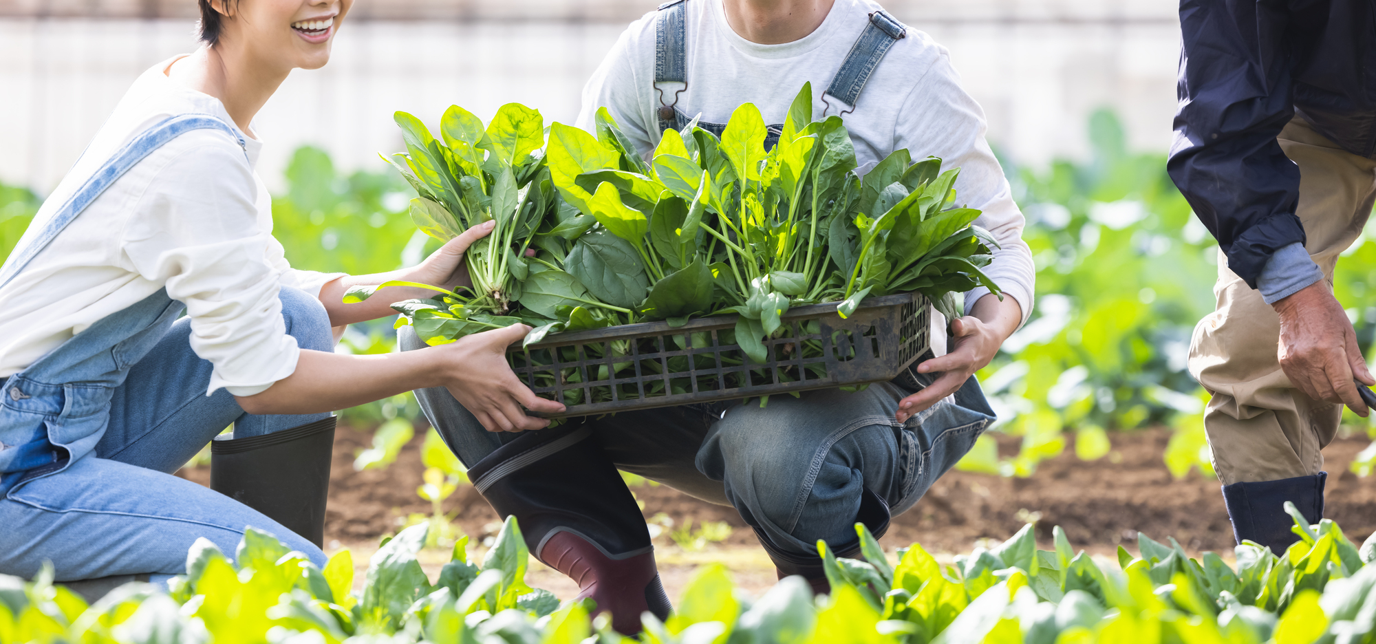 地域おこし協力隊とは?仕組み・収入・空き家活用・移住との関係をわかりやすく解説