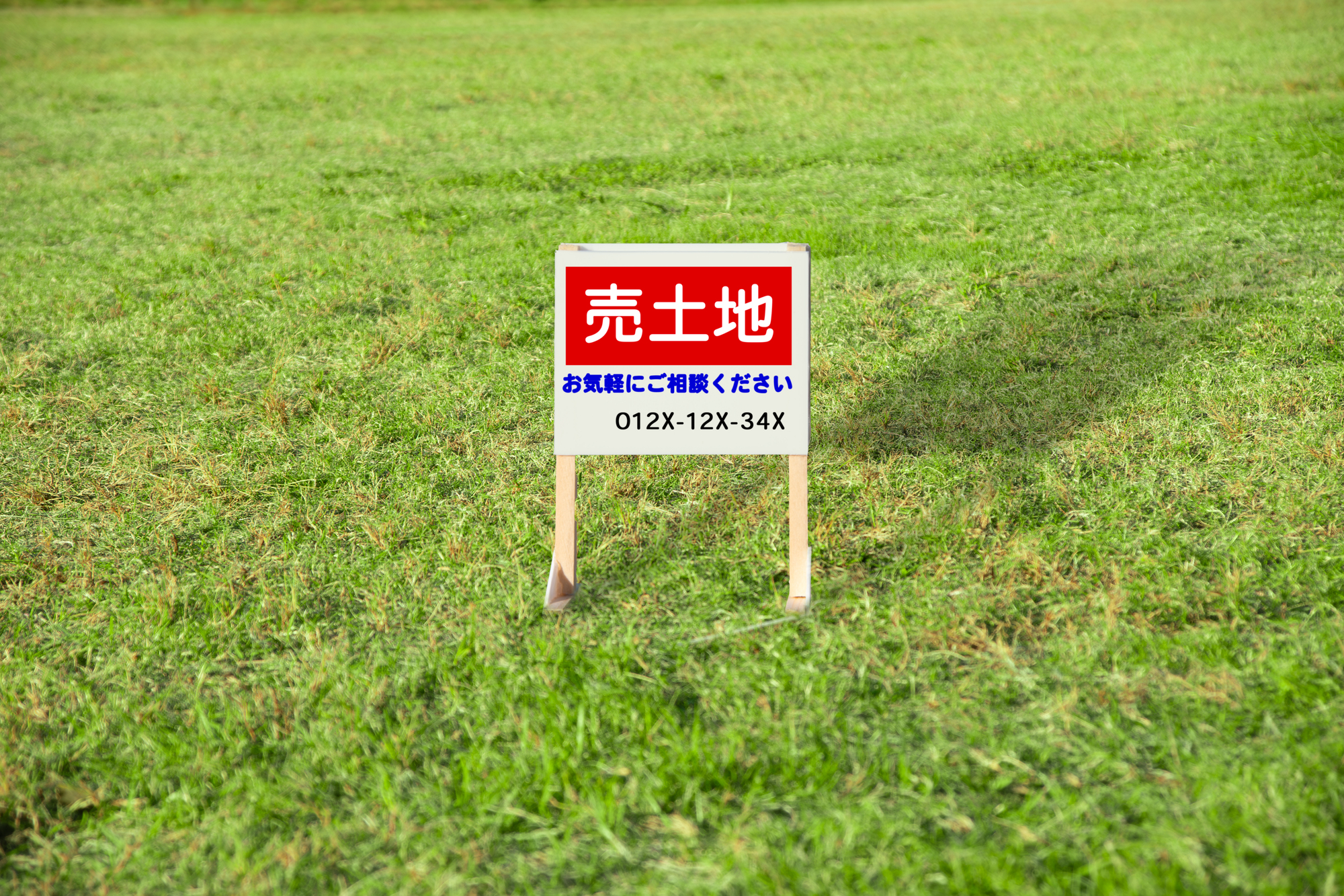 土地処分の相談先はどこが最適?迷わず手放すための専門家選びと相談事例