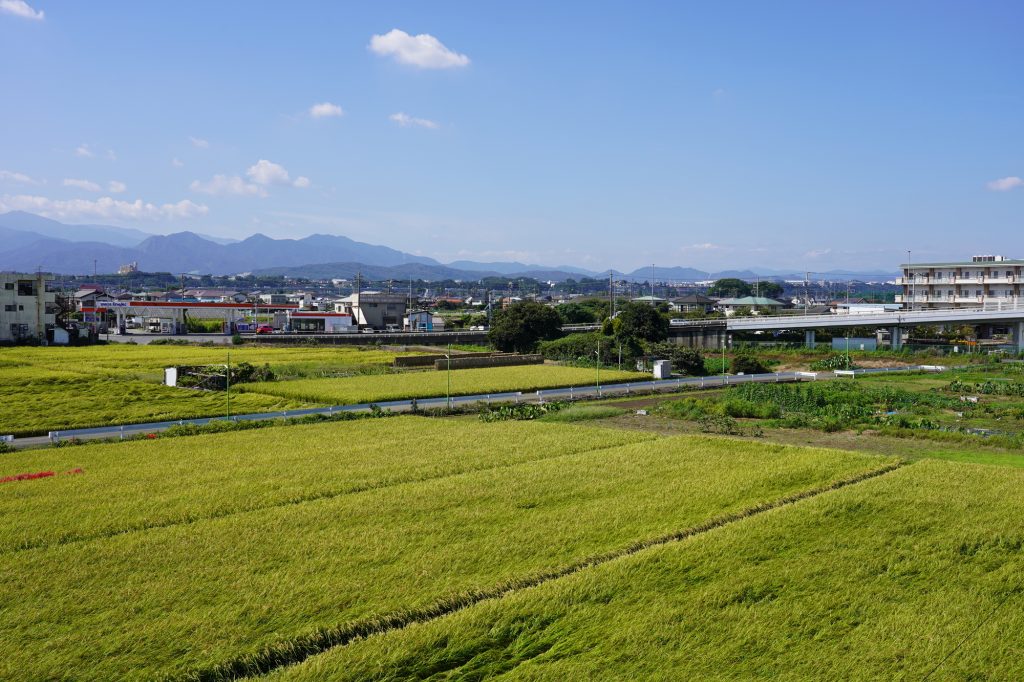 田舎移住の失敗例や対策を考えるイメージの、豊かな自然(田畑・山)と生活インフラが共存する地方都市
