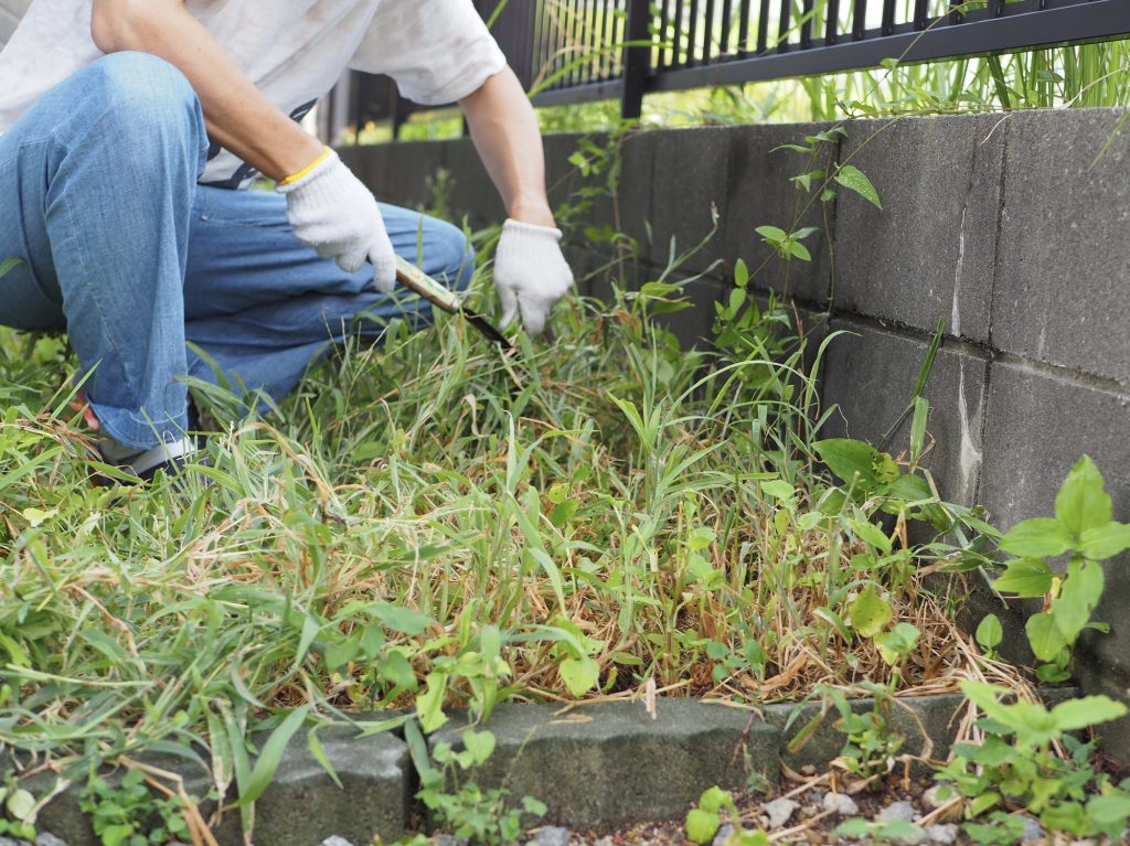 鎌を持って庭の草刈りをする男性
