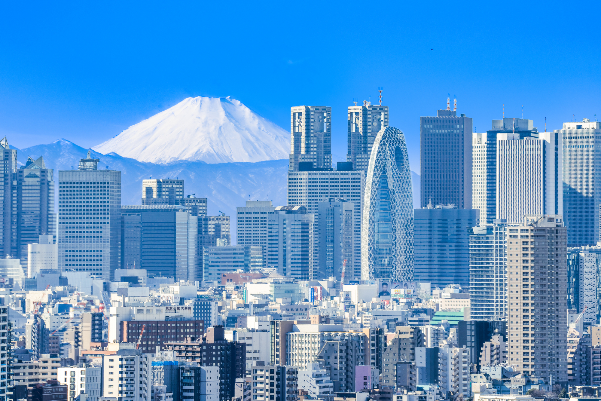 関東・首都圏の空き家活用｜0円で始める方法と事例【2026】